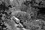 ME 23384 - RAG "VT 04"
11.08.1982
Regental, Tunnel nahe Teisnach [D]
Christoph Beyer
